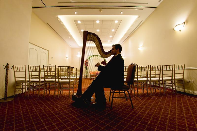 Safi Royal Luxury Valle San Pedro Garza García Kültér fotó A harpist playing at a wedding